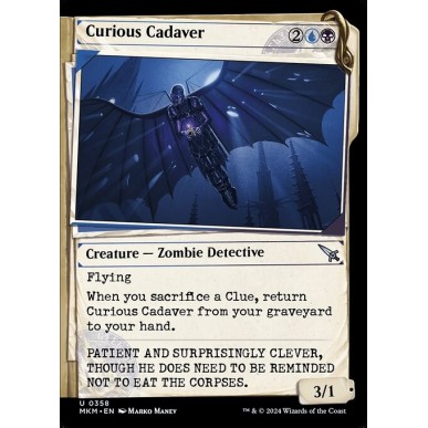 Cadavere Curioso