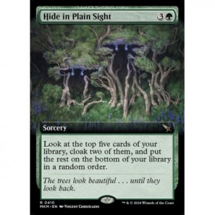 Hide in Plain Sight