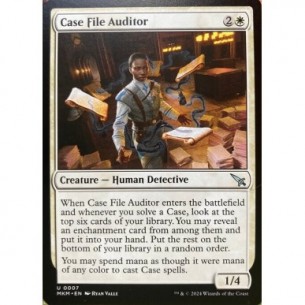 Case File Auditor