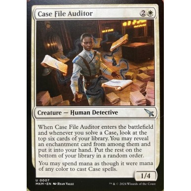 Case File Auditor