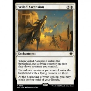 Veiled Ascension