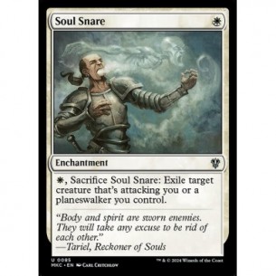 Soul Snare
