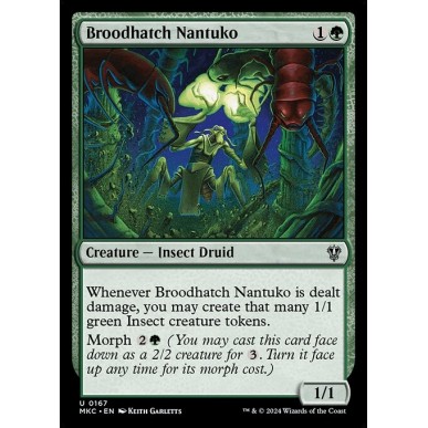 Broodhatch Nantuko