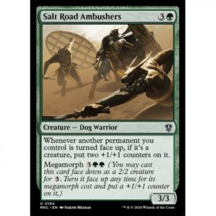 Salt Road Ambushers