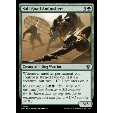 Salt Road Ambushers