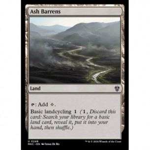 Ash Barrens