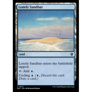 Lonely Sandbar