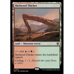 Sheltered Thicket