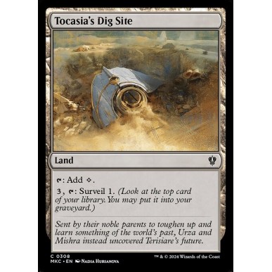 Tocasia's Dig Site