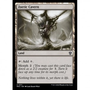 Zoetic Cavern