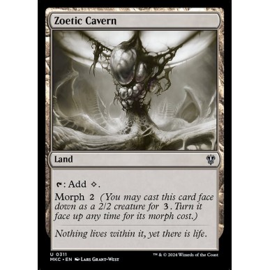 Zoetic Cavern