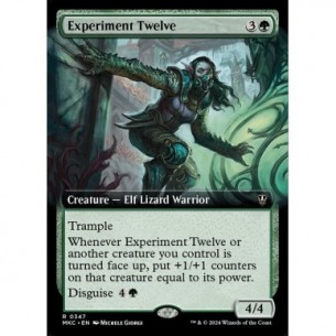 Experiment Twelve