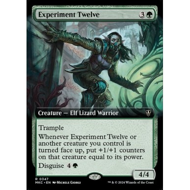 Experiment Twelve