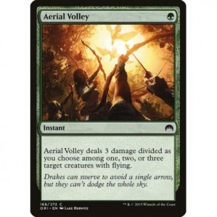 Aerial Volley