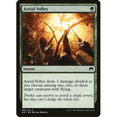 Aerial Volley