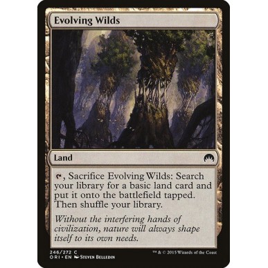 Evolving Wilds