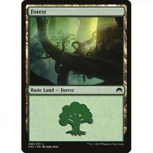 Forest
