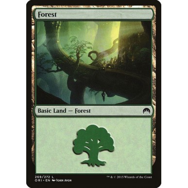Forest