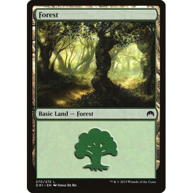 Forest