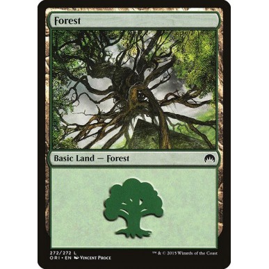 Forest