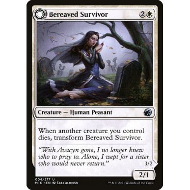 Bereaved Survivor // Dauntless Avenger
