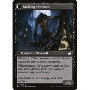 Shady Traveler // Stalking... 2