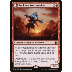 Reckless Stormseeker //...