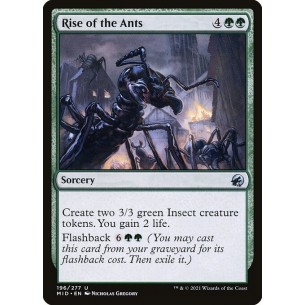 Rise of the Ants