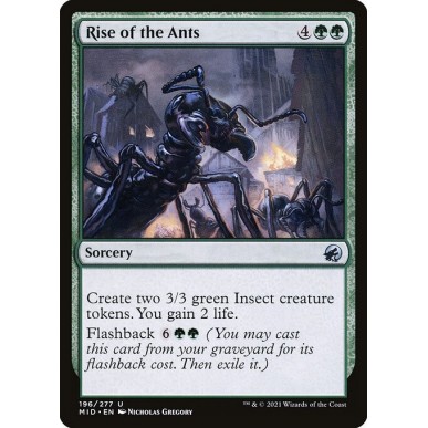 Rise of the Ants