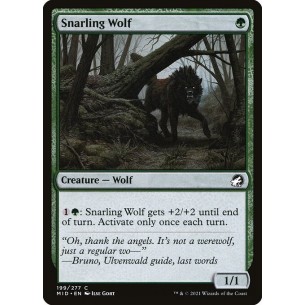 Snarling Wolf