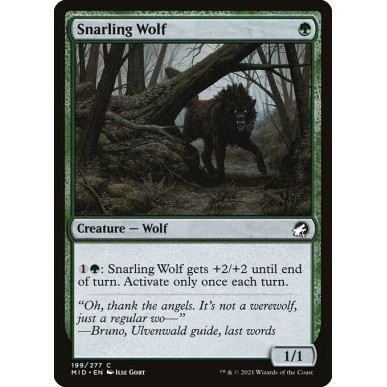 Snarling Wolf