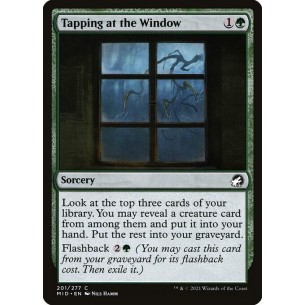 Tapping at the Window