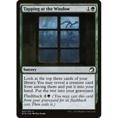 Tapping at the Window