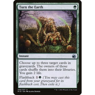 Turn the Earth