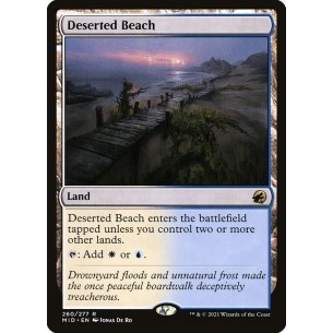 Deserted Beach