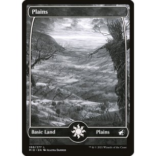 Plains