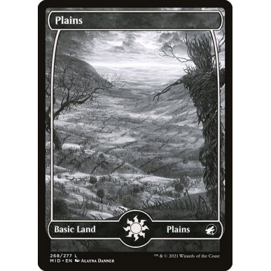 Plains