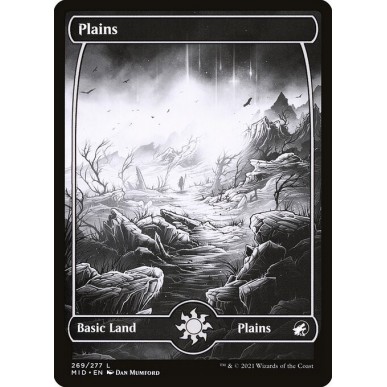 Plains