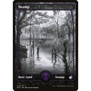 Swamp