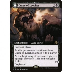 Curse of Leeches //...