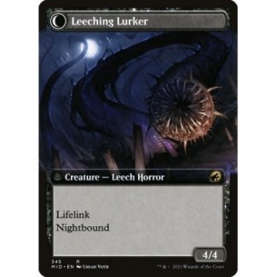 Curse of Leeches //... 2