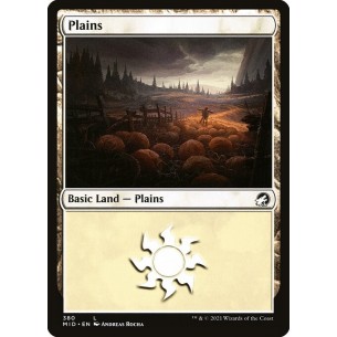 Plains