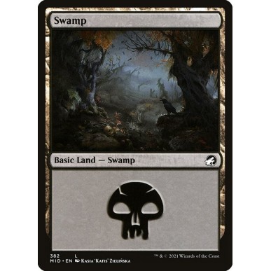 Swamp