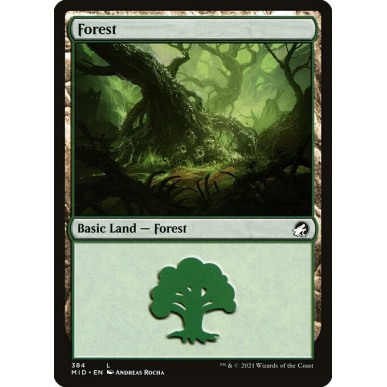 Forest