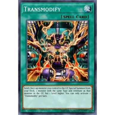 Transmodificazione