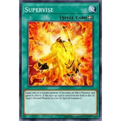 Supervise