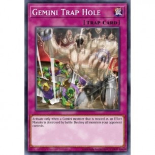 Gemini Trap Hole