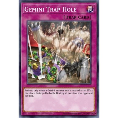 Gemini Trap Hole