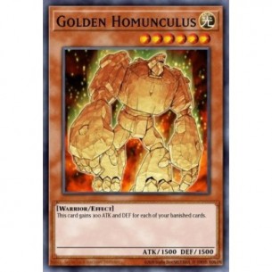 Golden Homunculus