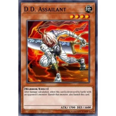 D.D. Assailant